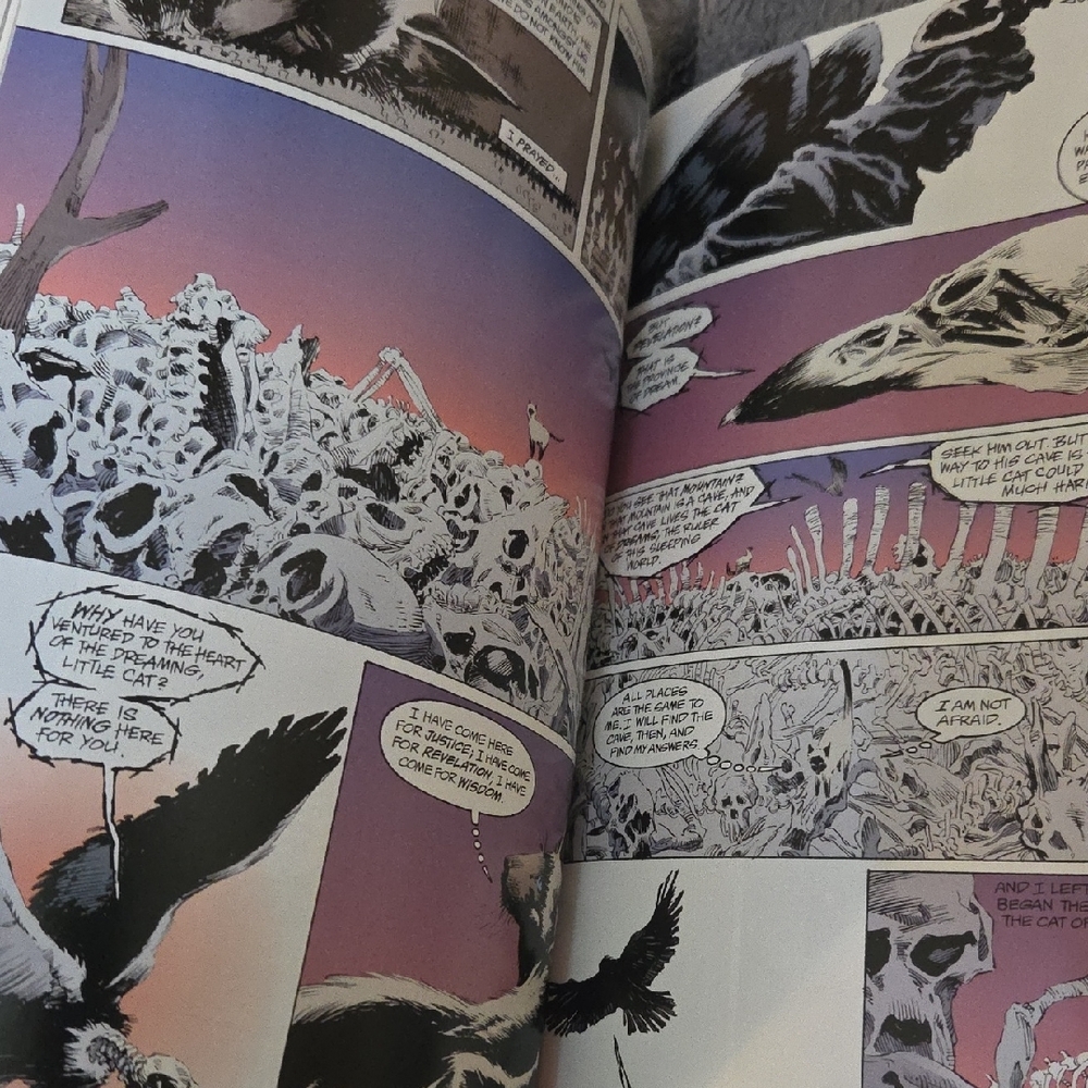 Sandman Graphic Novels by Neil Gaiman - Picture 12 of 12